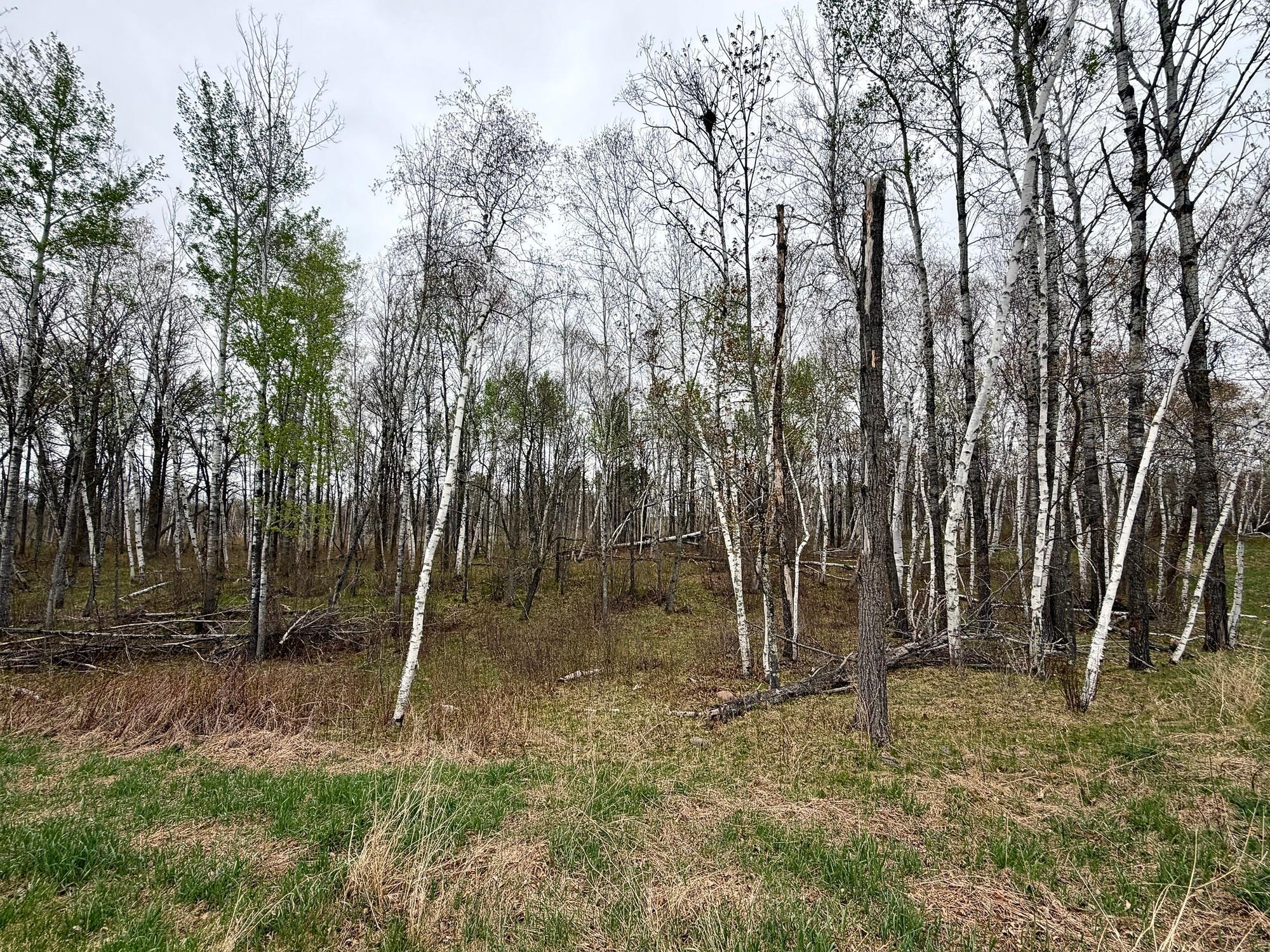 L18-b1 L18-b1 Acorn Ridge Road Northwest Bemidji, MN 56601 - Photo 3 of 4