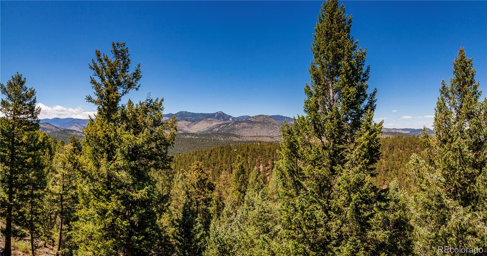 31714 Ruby Ranch Road Evergreen, CO 80439 - Photo 8 of 39 Gallery Image 8