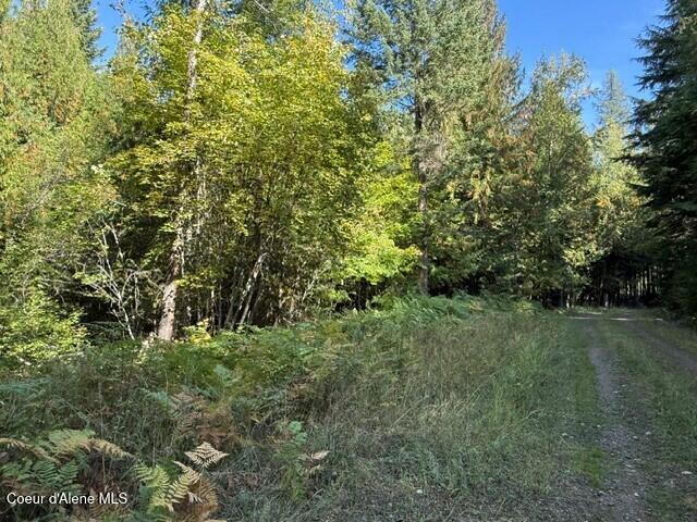 788 Gold Cup Mountain Road Laclede, ID 83841 - Photo 5 of 14 East w road