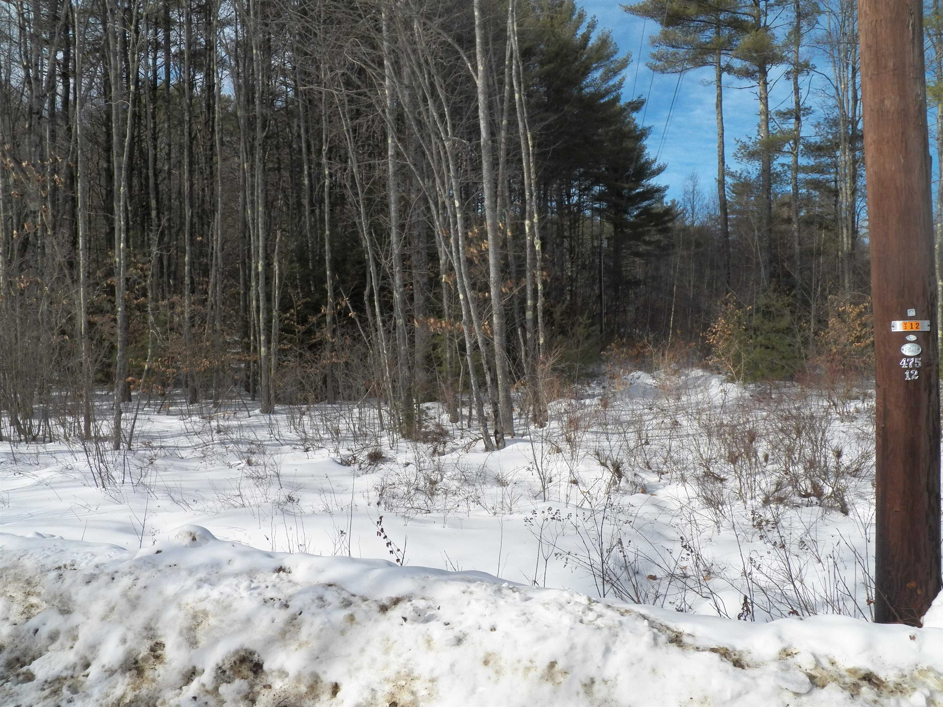 Lot 2 Sheldon Road Danbury, NH 03230 - Photo 3 of 14