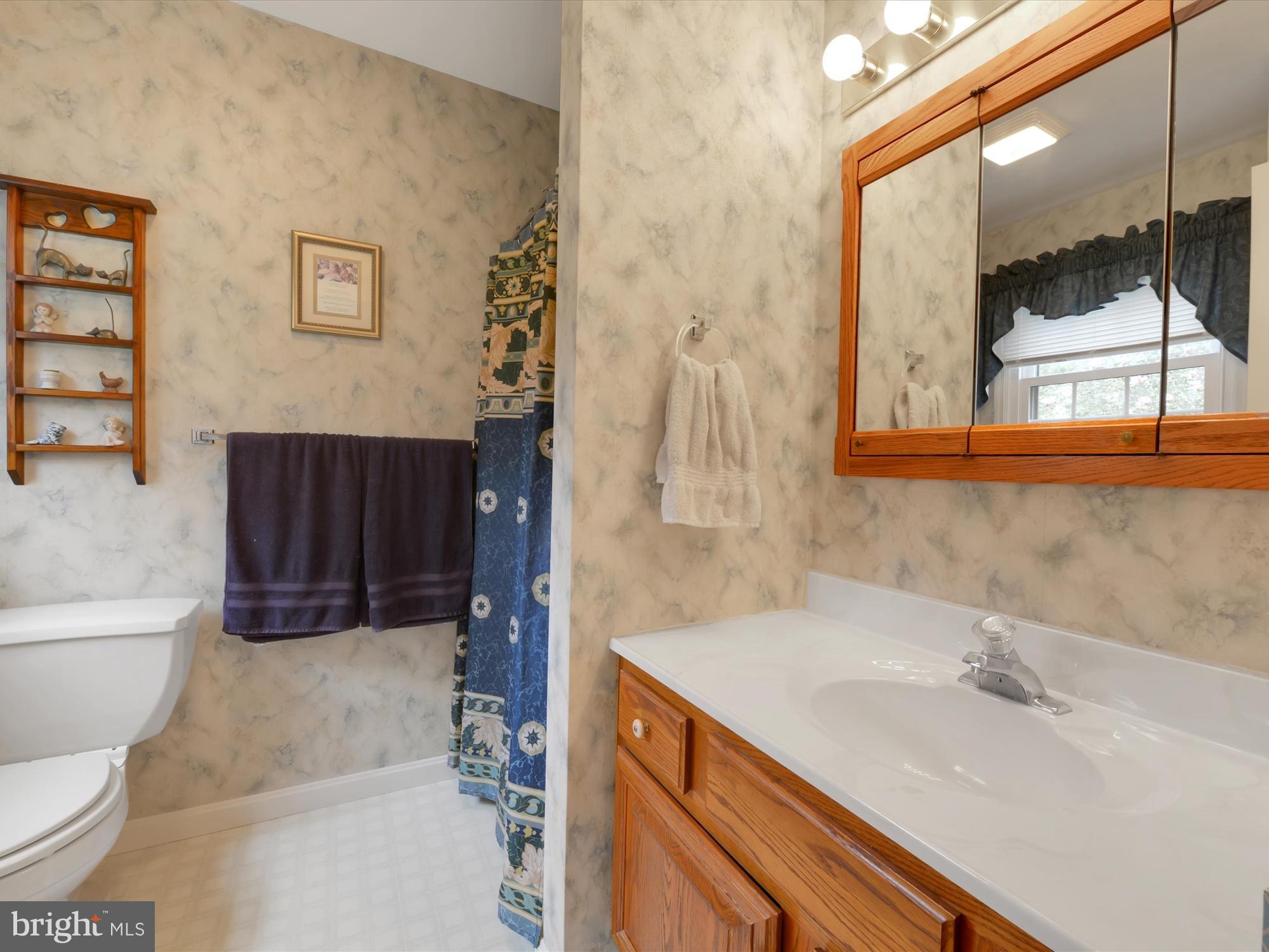 56 Brookview Drive Lititz, PA 17543 - Photo 17 of 28 Master Bath
