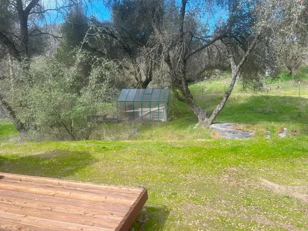 a backyard of a house with lots of green space and plants