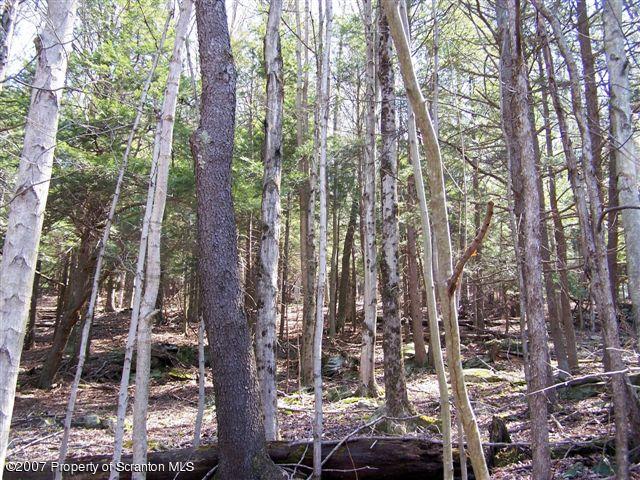 T-542 Farr Road Meshoppen, PA 18630 - Photo 5 of 5 Woods-2