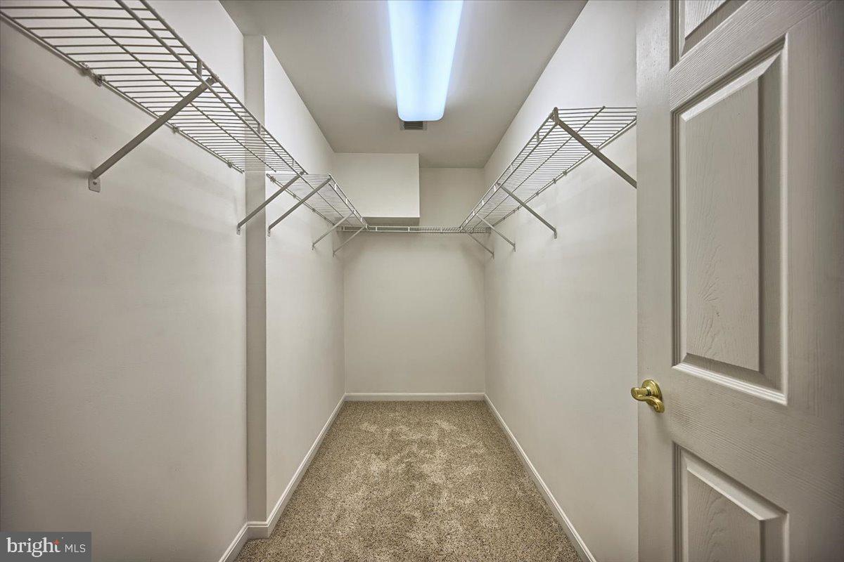 4517 Deer Path Road Harrisburg, PA 17110 - Photo 19 of 36 Walk-in Closet w/ shelving