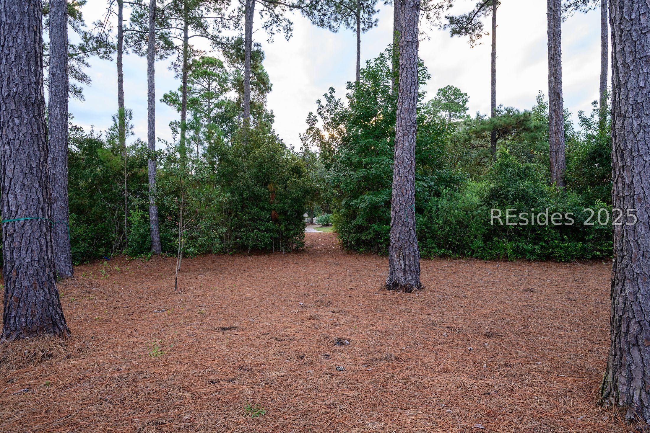 38 Game Land Road Bluffton, SC 29910 - Photo 42 of 46