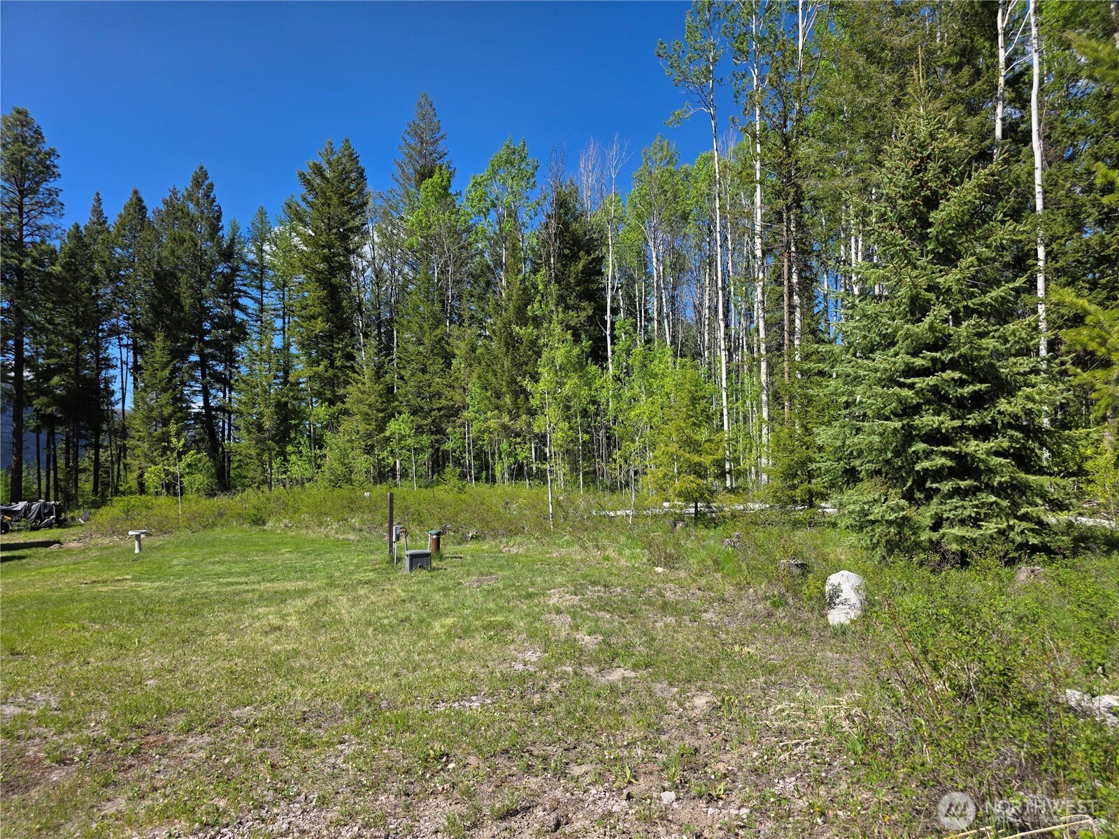 393 Summer Road Tonasket, WA 98855 - Photo 16 of 37 a backyard of a house with lots of green space