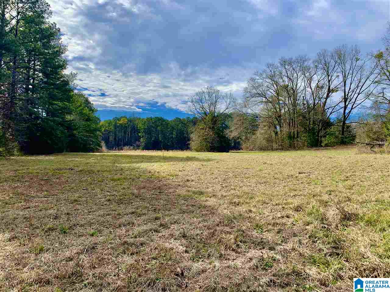 0 County Road 16 Calera, AL 35040 - Photo 2 of 22