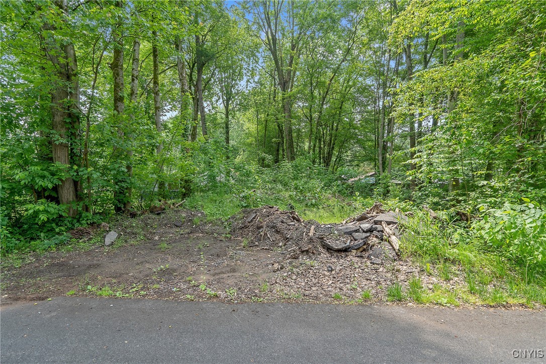 21st Avenue Blossvale, NY 13308 - Photo 1 of 8