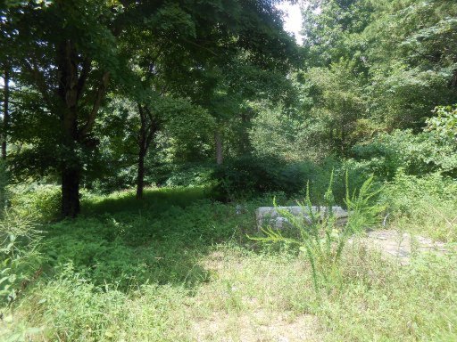282 Cedar Grove Road Loudon, TN 37774 - Photo 1 of 6 Additional Photo