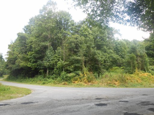 282 Cedar Grove Road Loudon, TN 37774 - Photo 2 of 6 Primary Photo