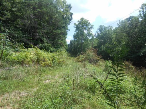 282 Cedar Grove Road Loudon, TN 37774 - Photo 4 of 6 Additional Photo