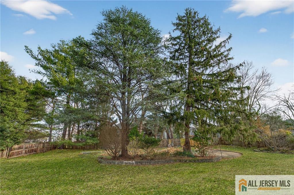 352 Rahway Road Edison, NJ 08820 - Photo 27 of 30 a view of outdoor space with trees all around