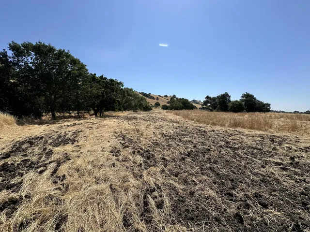 a view of a field with a tree in the background