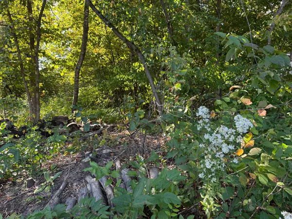 $77,000 | 44015 100th Avenue, Holdingford, MN 56340