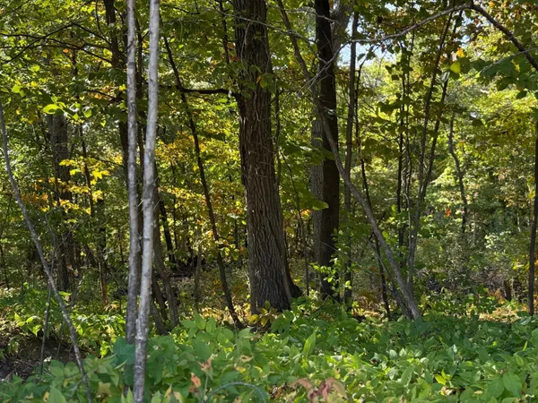 $77,000 | 44015 100th Avenue, Holdingford, MN 56340