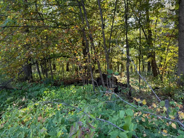 $77,000 | 44015 100th Avenue, Holdingford, MN 56340