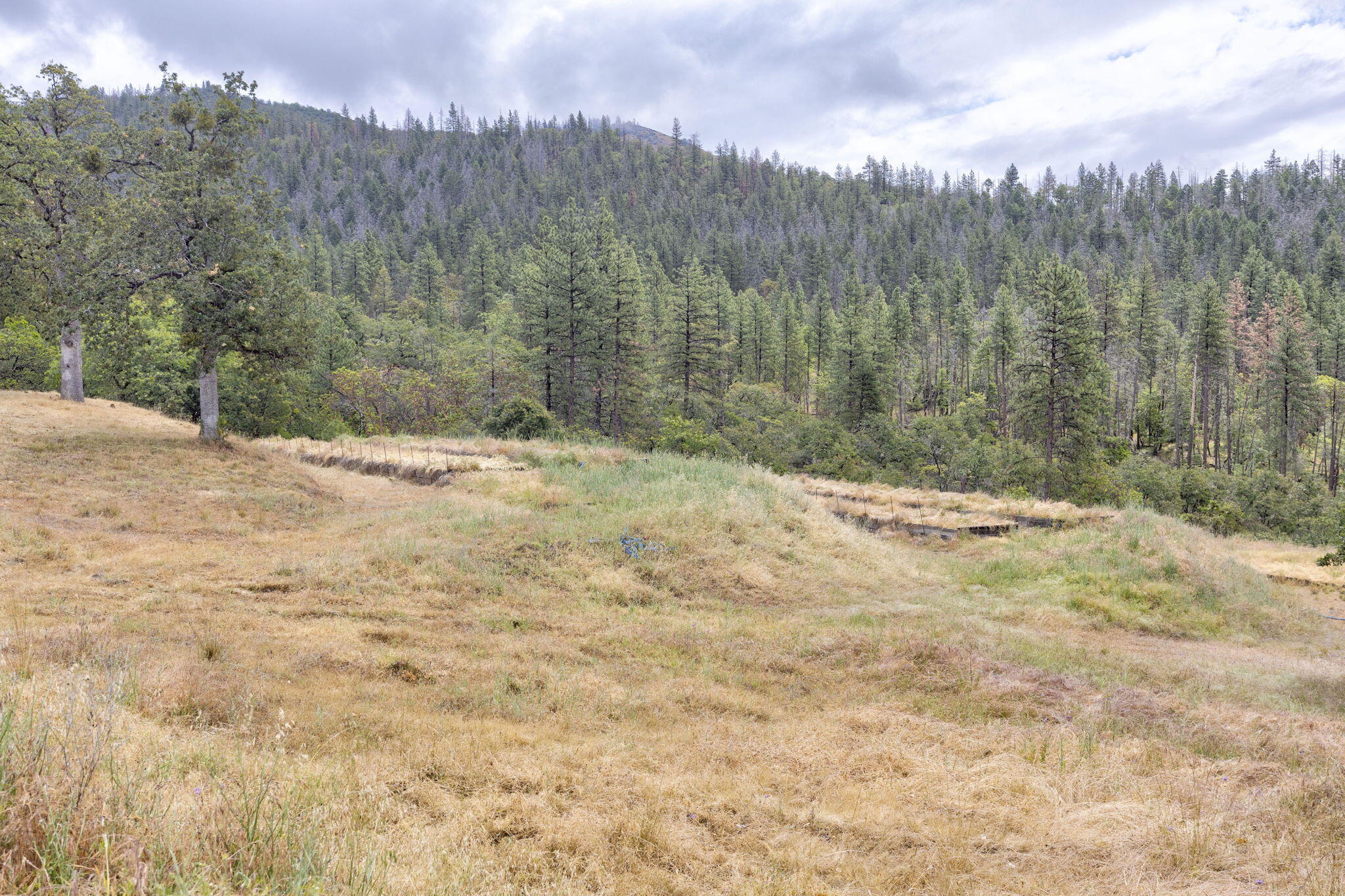 9595 Sterling Creek Road Jacksonville, OR 97530 - Photo 65 of 76 a view of a yard with trees in the background