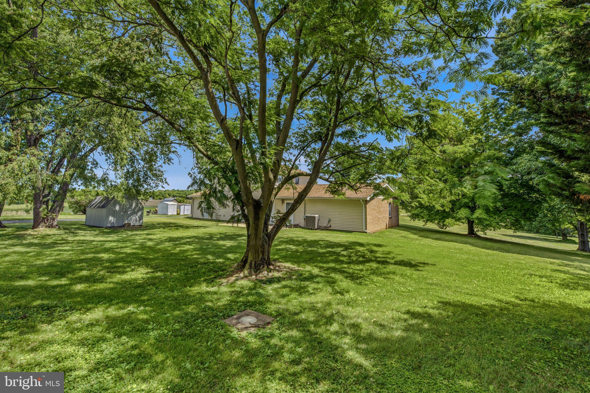 11728 White Hall Road Smithsburg, MD 21783 - Photo 53 of 71 Backyard
