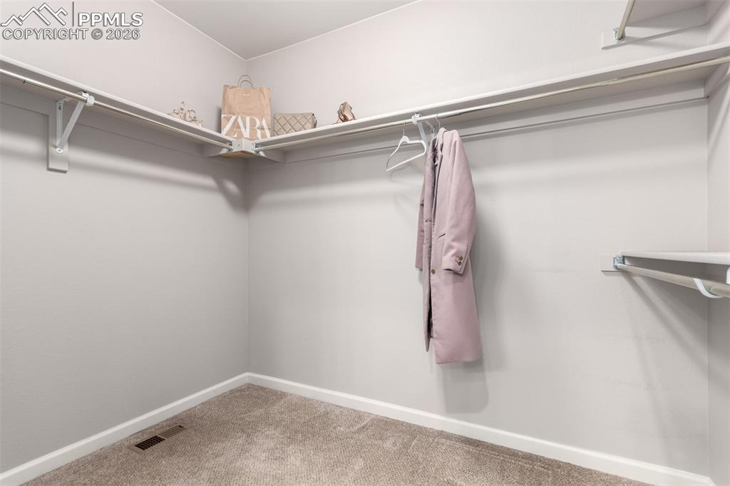 7956 Osage Street Denver, CO 80221 - Photo 24 of 48 Spacious closet featuring light colored carpet