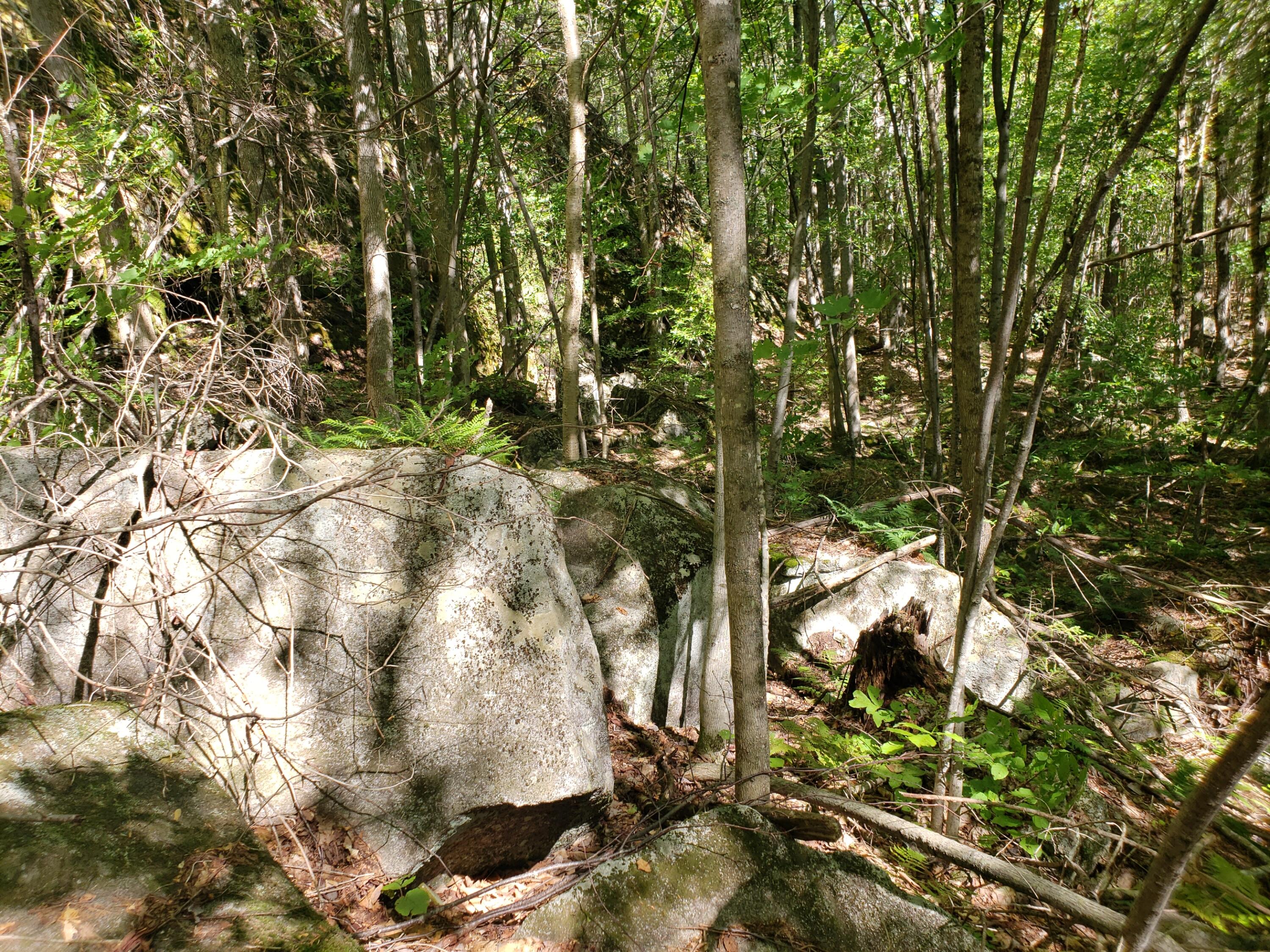 0 Off Mountain Stoneham, ME 04231 - Photo 30 of 32 and more rocks
