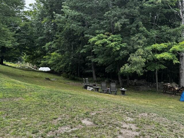36 Spring Street Mechanic Falls, ME 04256 - Photo 5 of 10 back yard