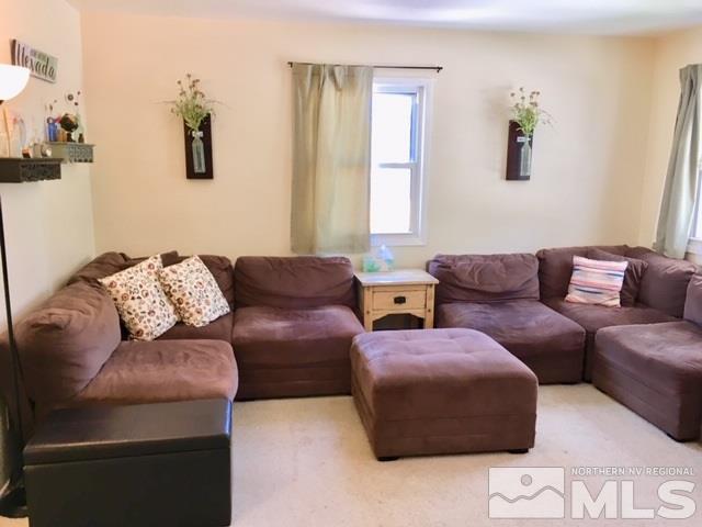 1380 Cedar Road Fallon, NV 89406 - Photo 3 of 25 Photo 3