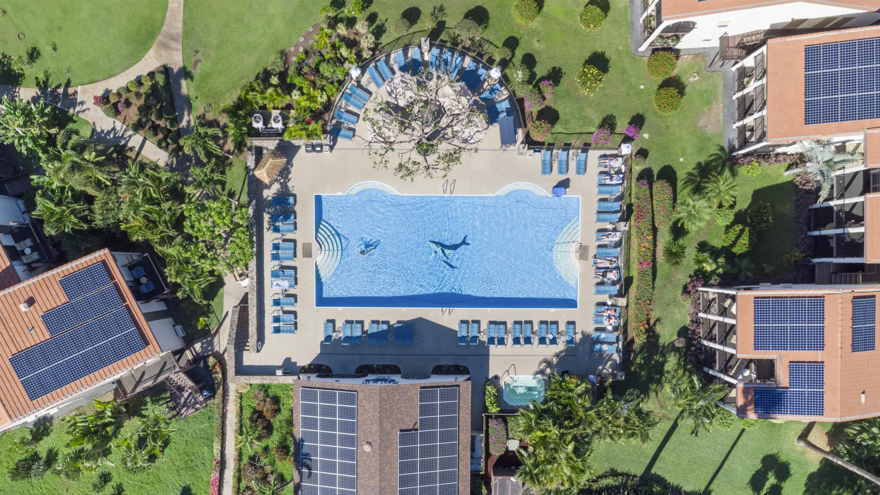 2881 South Kihei Road, Unit 59 Kihei, HI 96753 - Photo 2 of 34