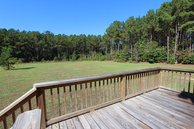 573 Lancaster Road Pikeville, NC 27863 - Photo 42 of 45 Gallery Image 42