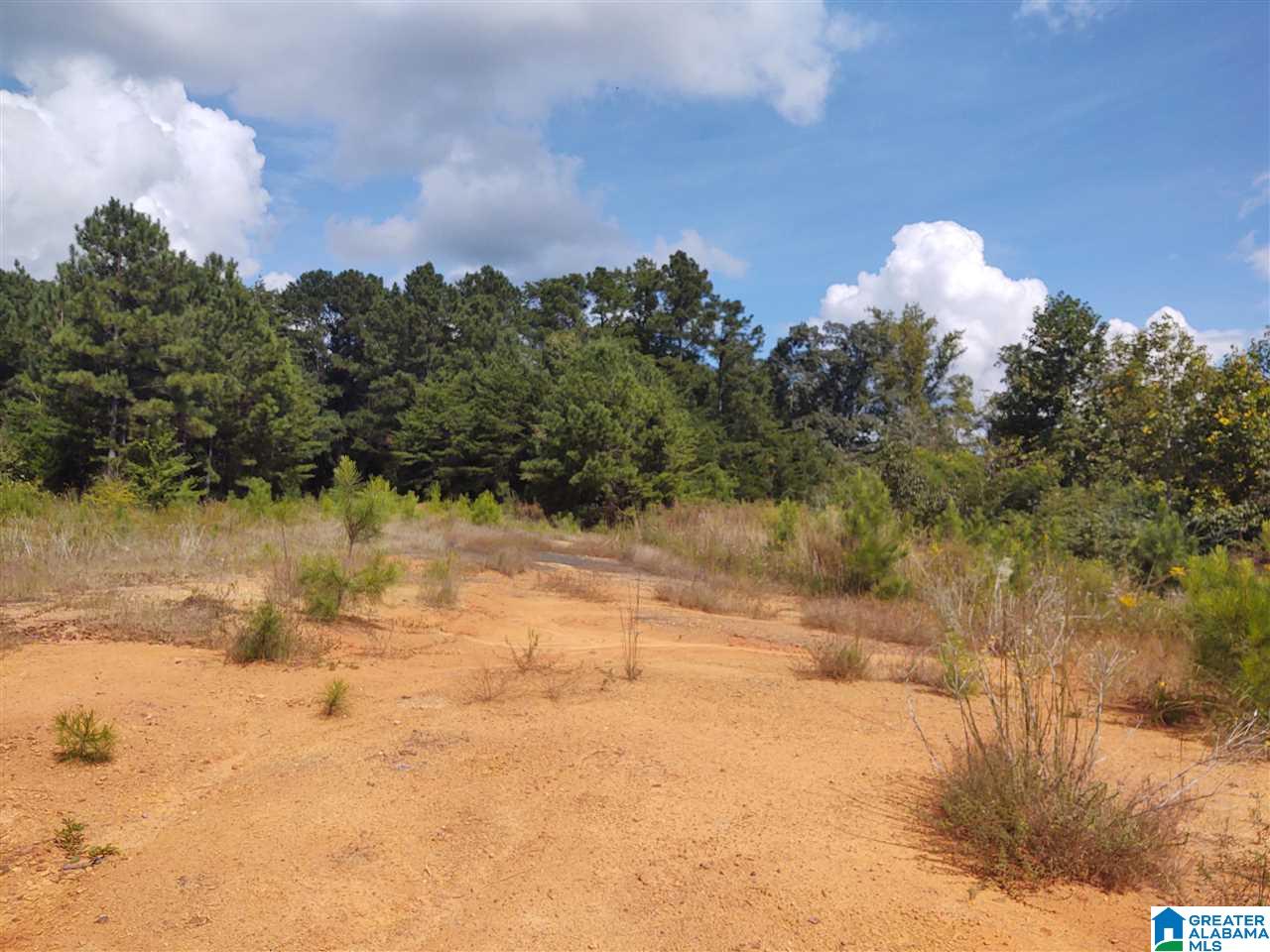 17160 Lock 17 Road, Unit 1 Brookwood, AL 35444 - Photo 11 of 13
