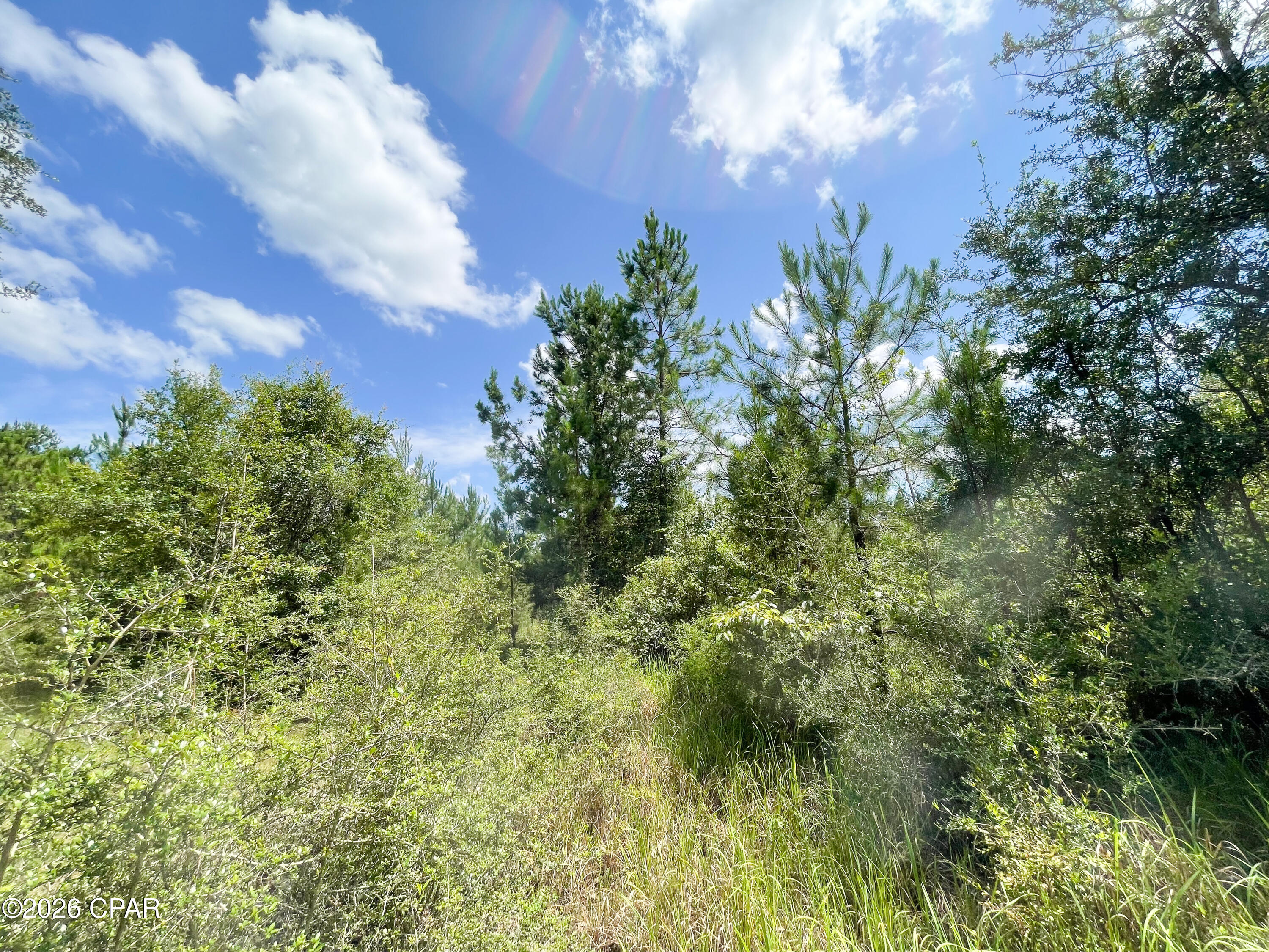 9 Bess Nook Road Bonifay, FL 32425 - Photo 13 of 20