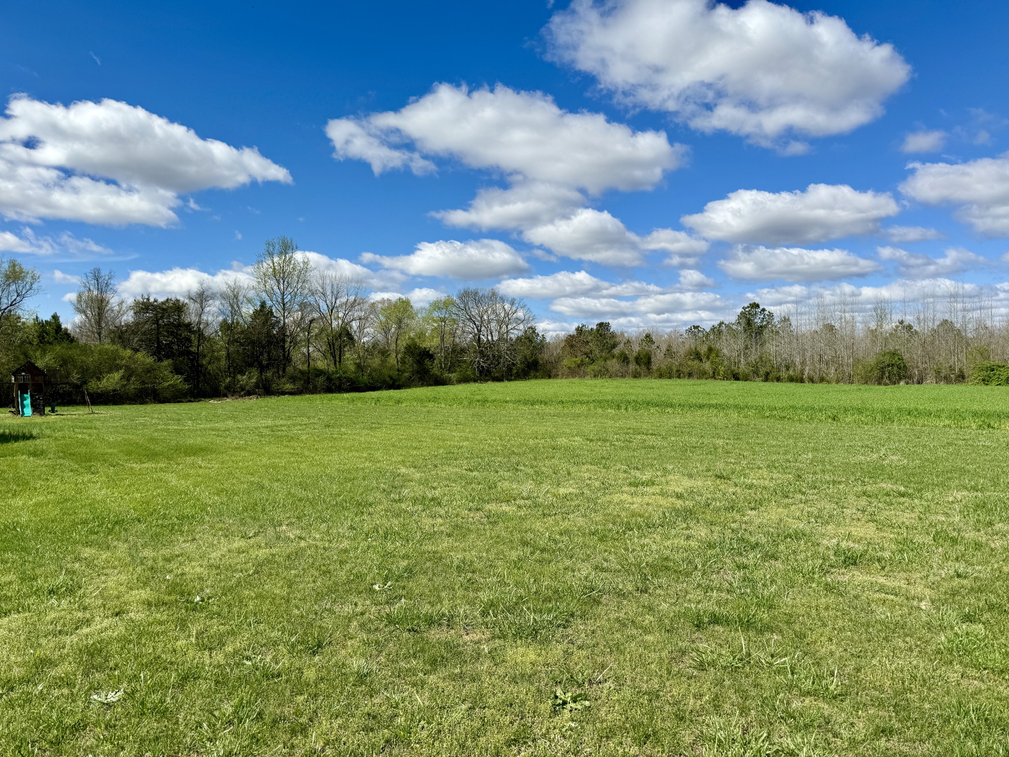 35 Whitaker Bend Road Linden, TN 37096 - Photo 28 of 36 a view of a green field with clear sky