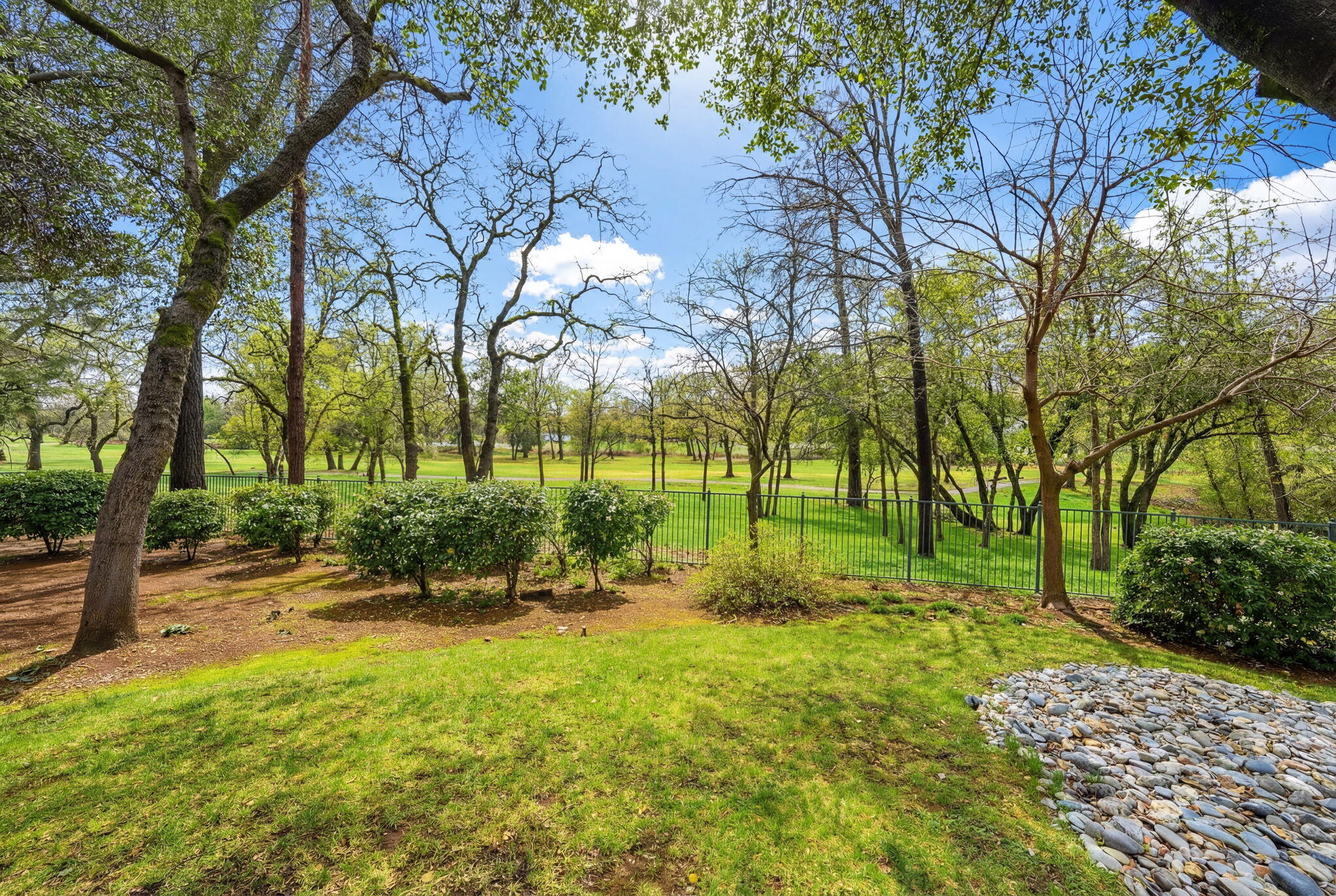 13482 Tierra Heights Road Redding, CA 96003 - Photo 36 of 41 a view of backyard with tree