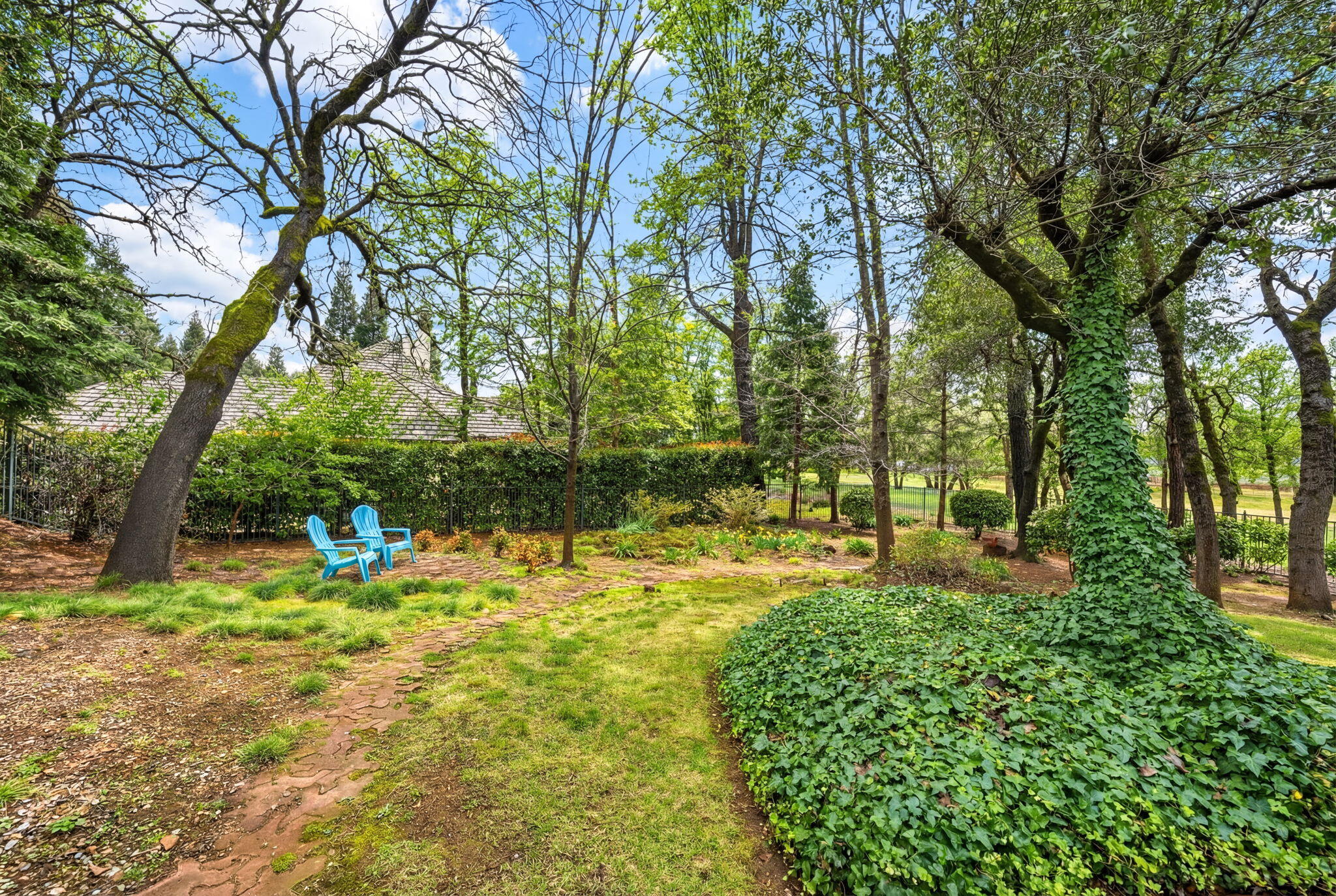 13482 Tierra Heights Road Redding, CA 96003 - Photo 37 of 41 a view of yard with green space and trees
