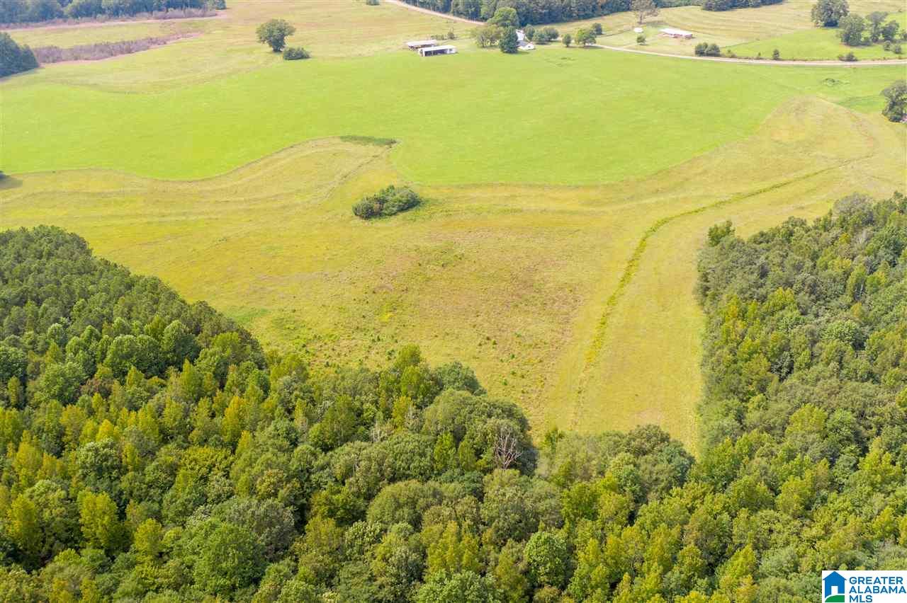 205 County Road 3 Reform, AL 35481 - Photo 15 of 46