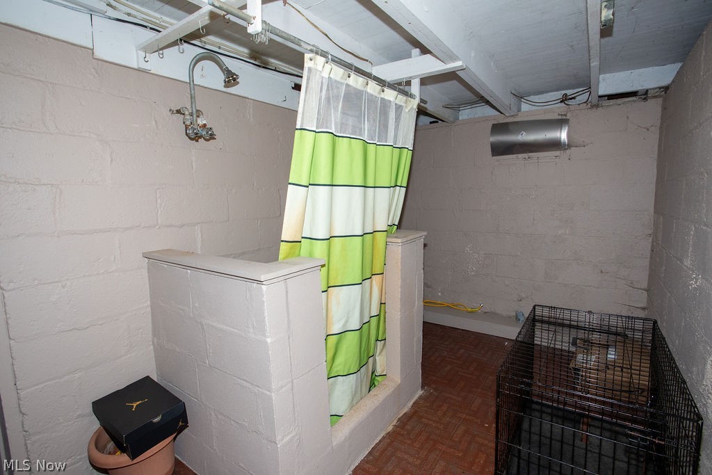 213 Como Street Struthers, OH 44471 - Photo 19 of 25 Basement shower