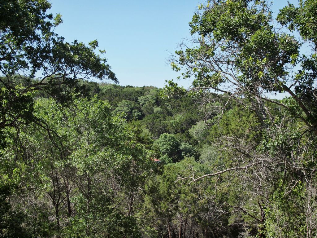 100 Swiftcurrent Trail Austin, TX 78746 - Photo 1 of 1 Gallery Image 1