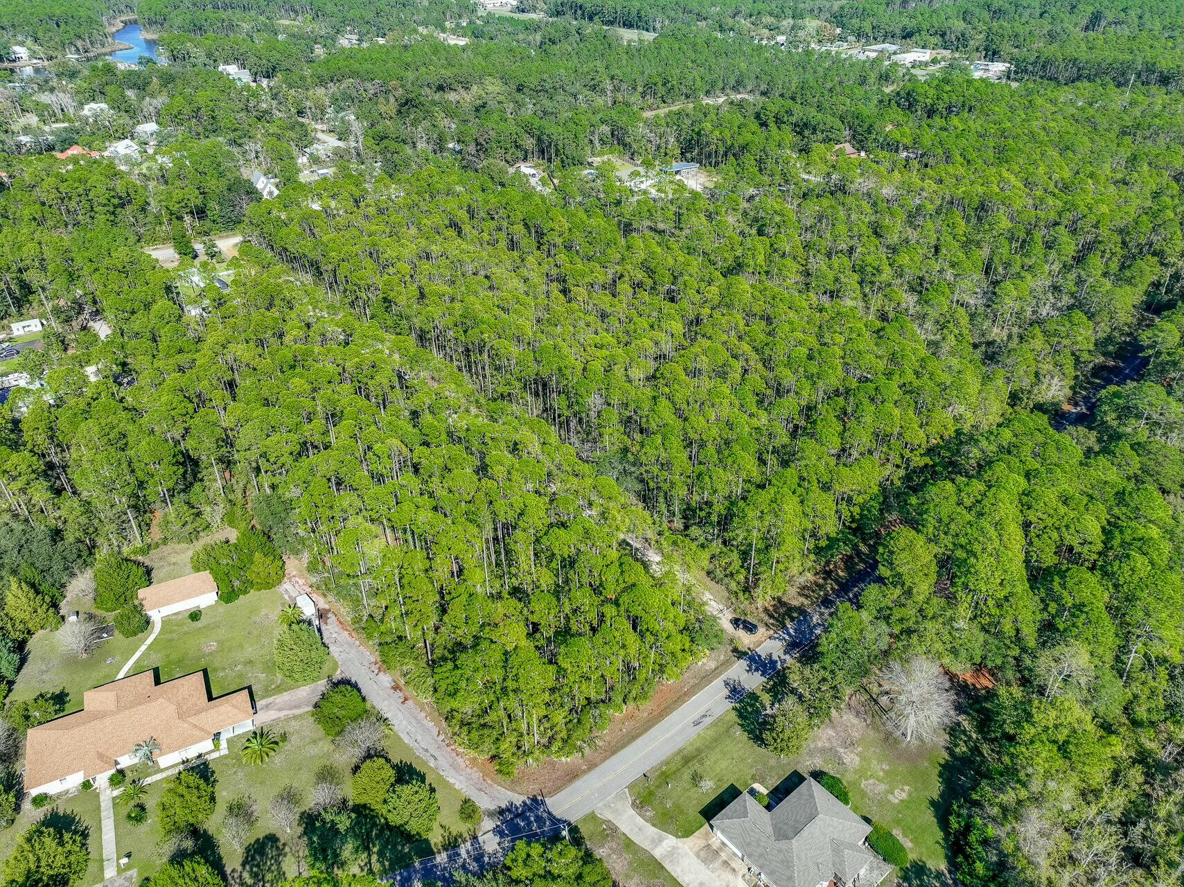 Tbd Mallet Bayou Road Freeport, FL 32439 - Photo 15 of 31 a view of a lush green forest with lots of trees