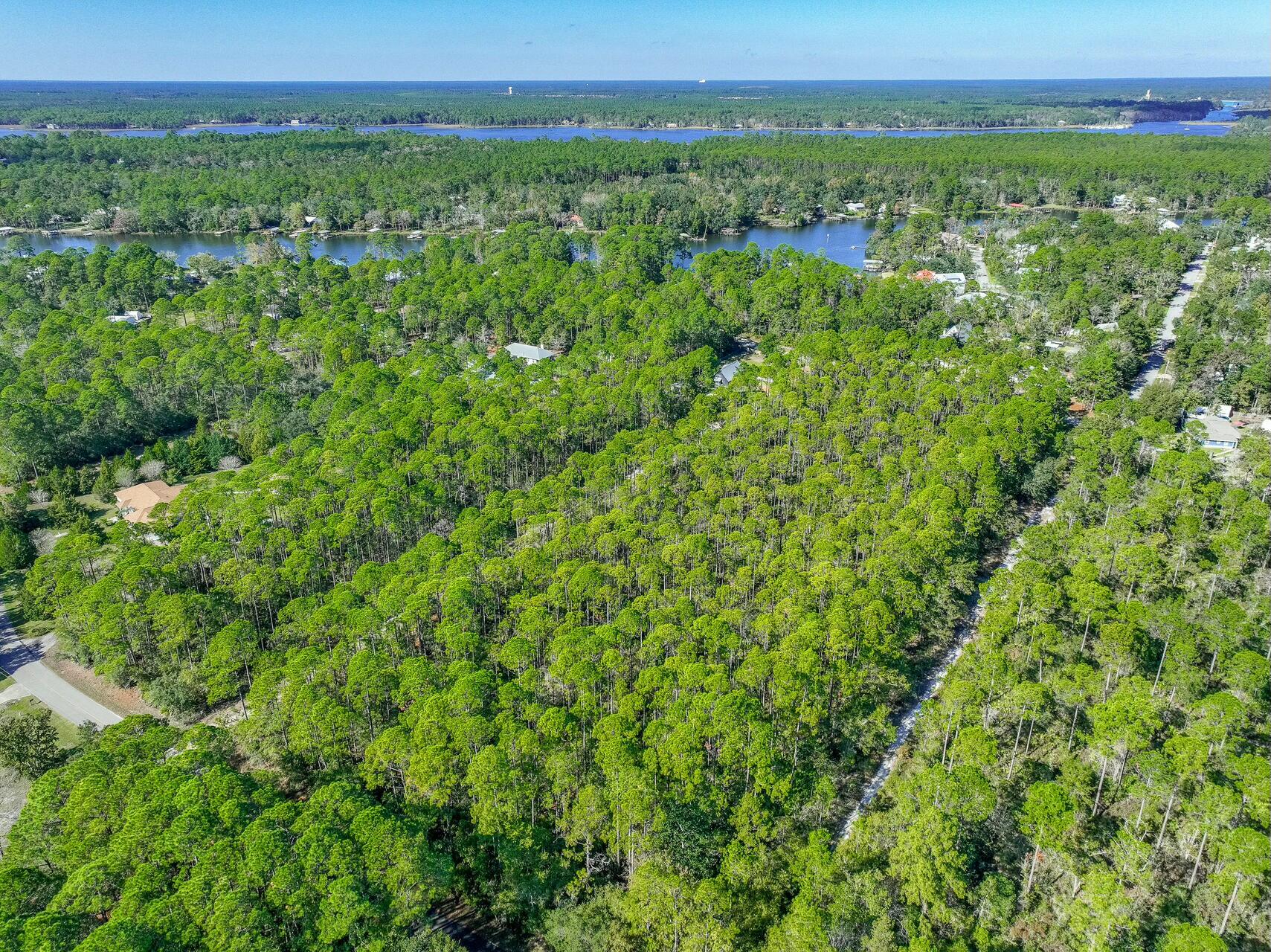 Tbd Mallet Bayou Road Freeport, FL 32439 - Photo 18 of 31 a view of a lush green field with lots of plants in it