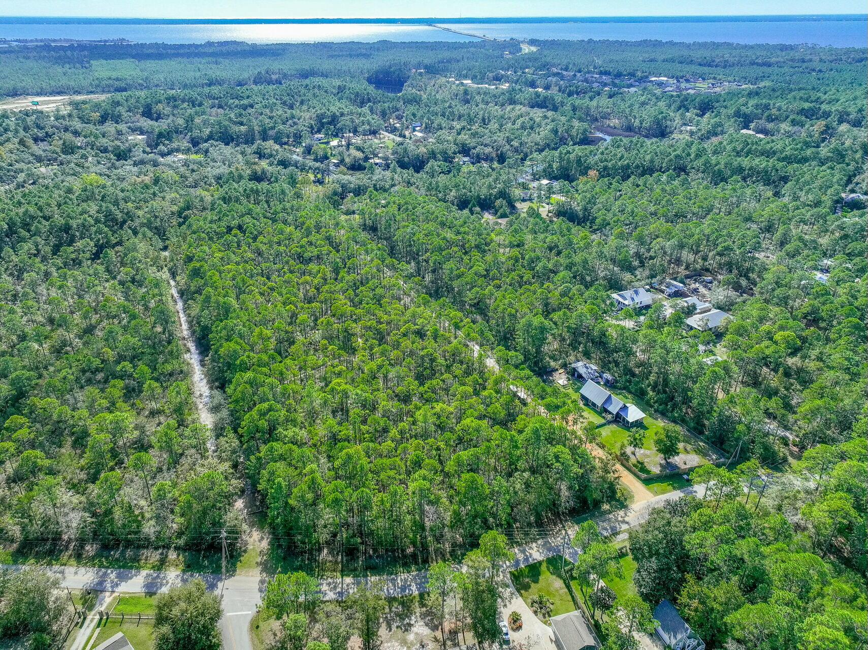 Tbd Mallet Bayou Road Freeport, FL 32439 - Photo 7 of 31 a view of a green field with lots of bushes