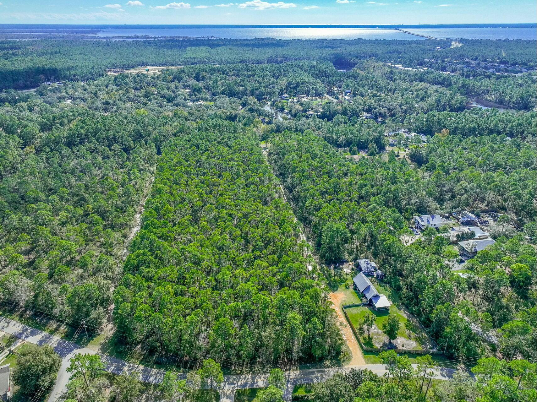 Tbd Mallet Bayou Road Freeport, FL 32439 - Photo 8 of 31 a view of a green field with lots of bushes