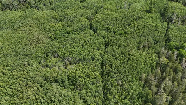 $179,000 | 40 North Rollick Creek, Crane Lake, MN 55725