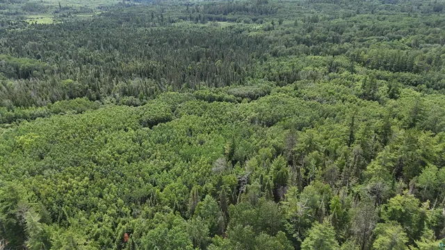 $179,000 | 40 North Rollick Creek, Crane Lake, MN 55725