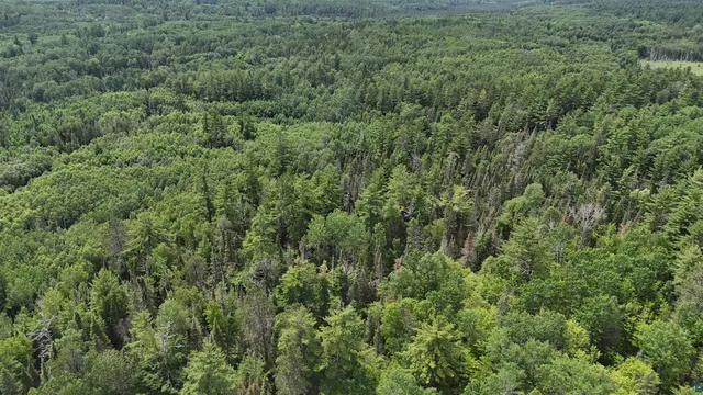 $179,000 | 40 North Rollick Creek, Crane Lake, MN 55725