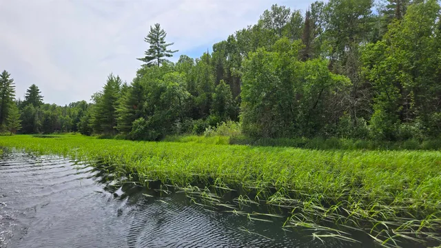 $179,000 | 40 North Rollick Creek, Crane Lake, MN 55725