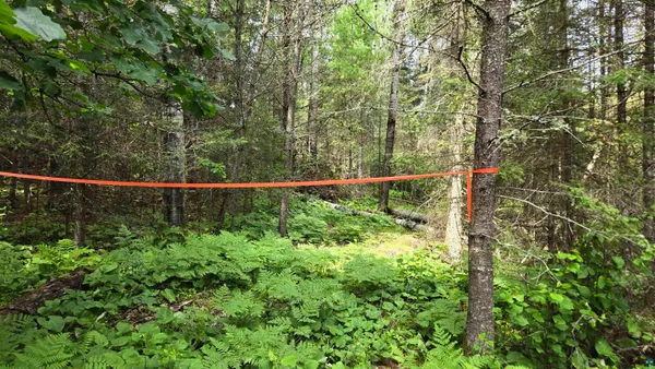 $150,000 | 40 North Rollick Creek, Crane Lake, MN 55725