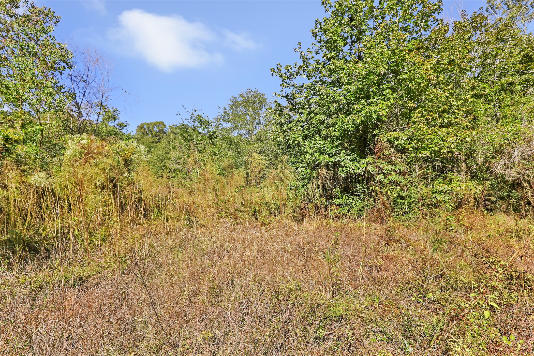 1224 Plum Pudding Road Livingston, TX 77351 - Photo 11 of 11