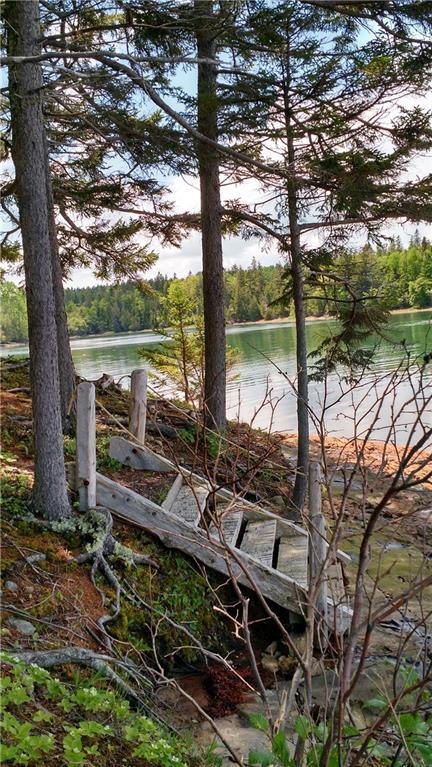 1037 North Lubec Road Lubec, ME 04652 - Photo 26 of 35 Staircase to the shore. Home sits 25...
