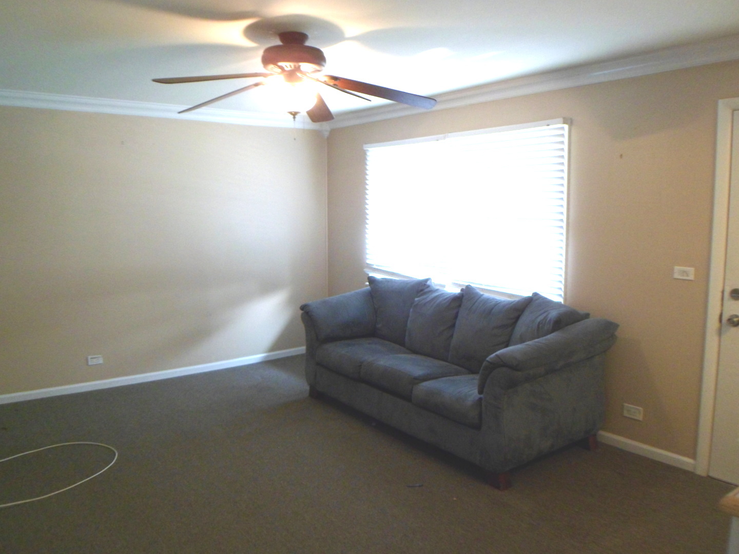 6217 Birmingham Street Chicago Ridge, IL 60415 - Photo 8 of 17