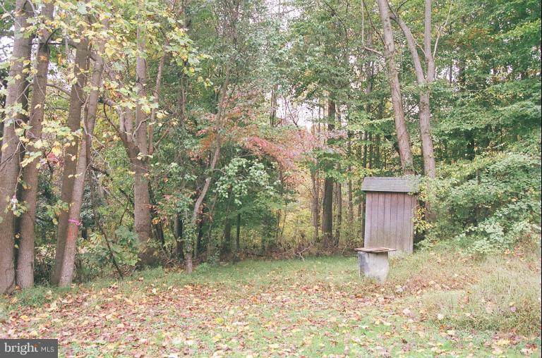 2605 Ritchie Marlboro Road Upper Marlboro, MD 20774 - Photo 18 of 29 Private Wooded Area