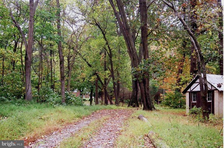 2605 Ritchie Marlboro Road Upper Marlboro, MD 20774 - Photo 21 of 29 Shed on Driveway